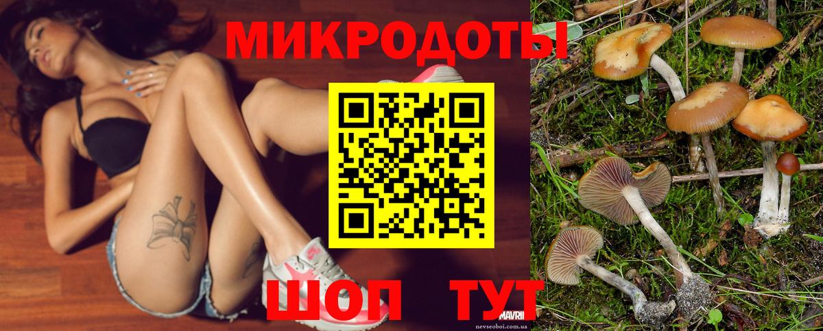 закладка  Галлюциногенные грибы Psilocybe  Вход с VPN  Краснознаменск 